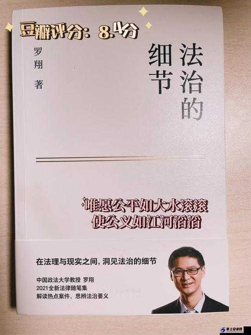 公的浮之手中字 5 剧情解析：深度剖析与洞察