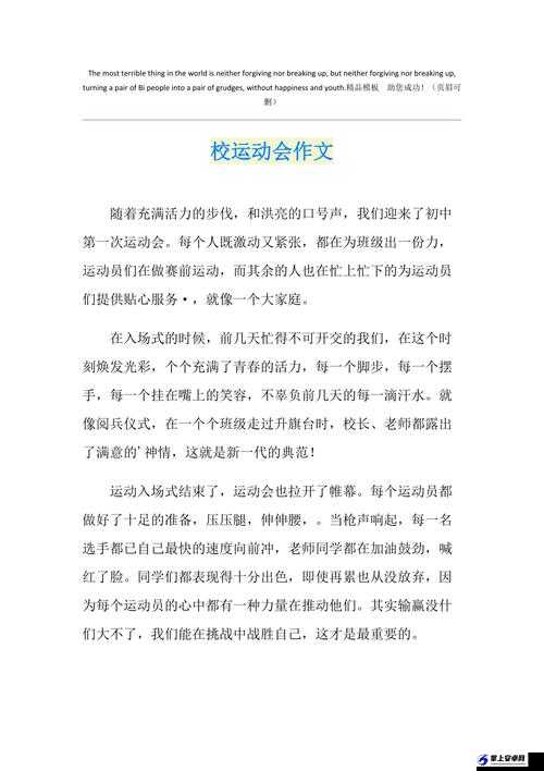 YN 荡校园运动会笔：一场充满激情的体育盛宴