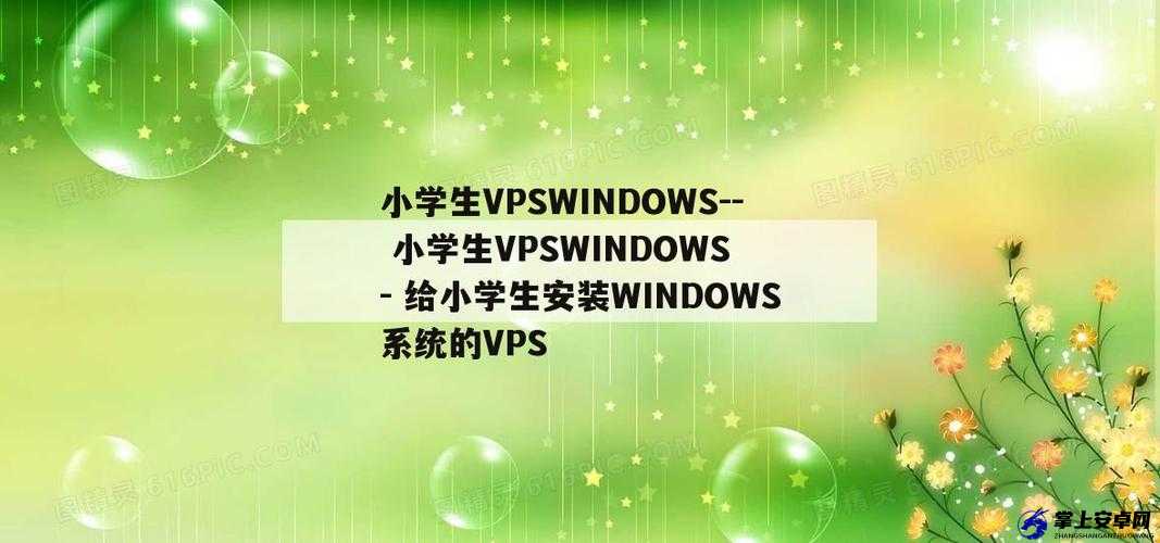 高清小学生 VPSWINDOWS：学习娱乐的新选择