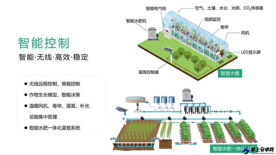 自动灌溉系统 BY 应照离：智能节水新科技