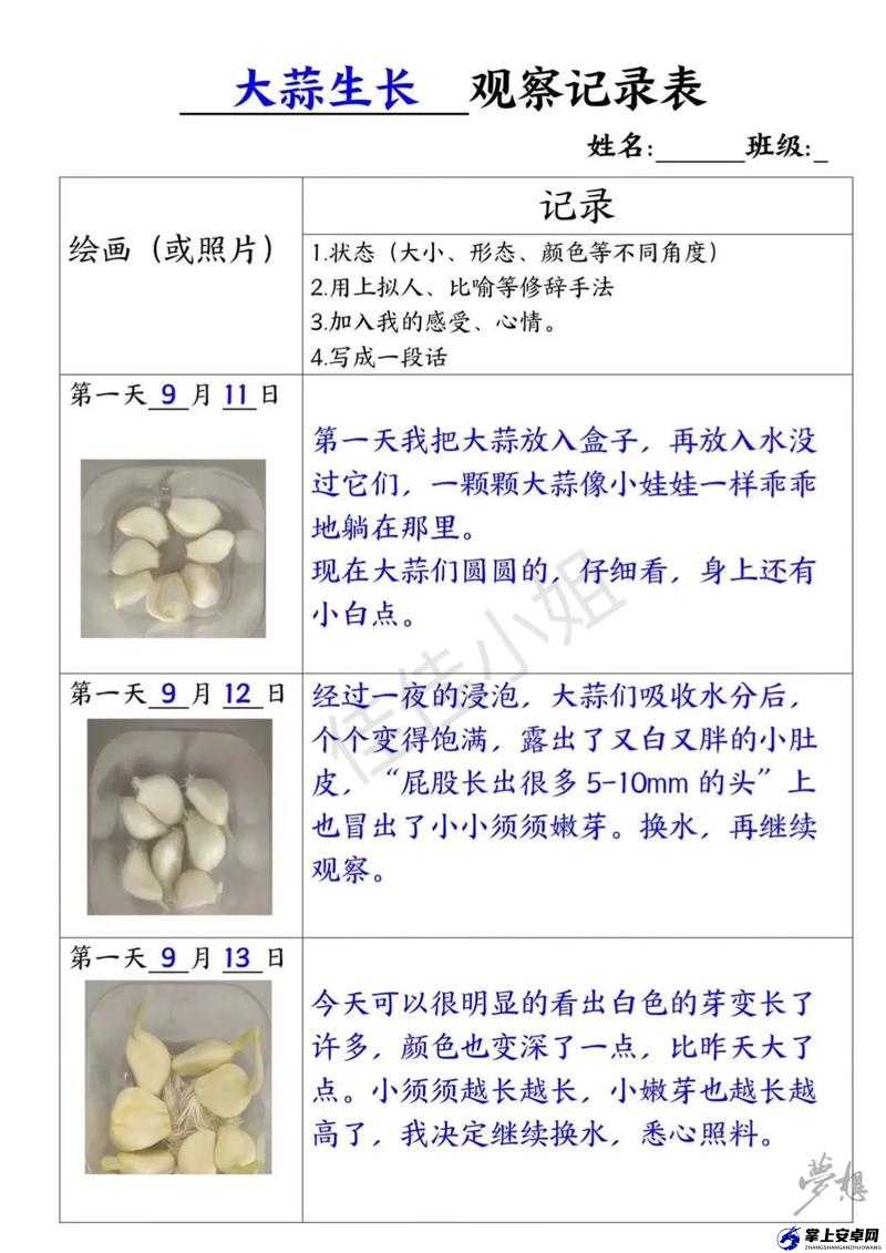 成长的秘密第十三集观察记录：成长的关键节点