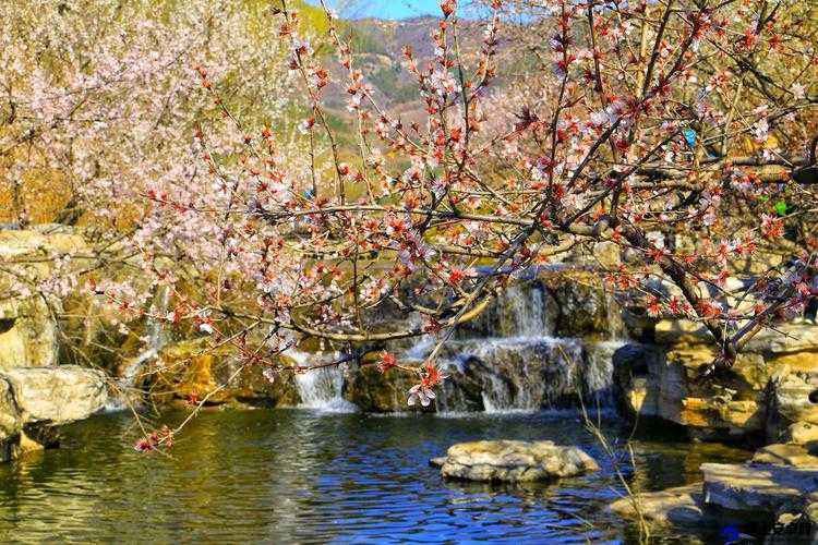 桃花洞口已是溪水潺潺：美丽的自然之景