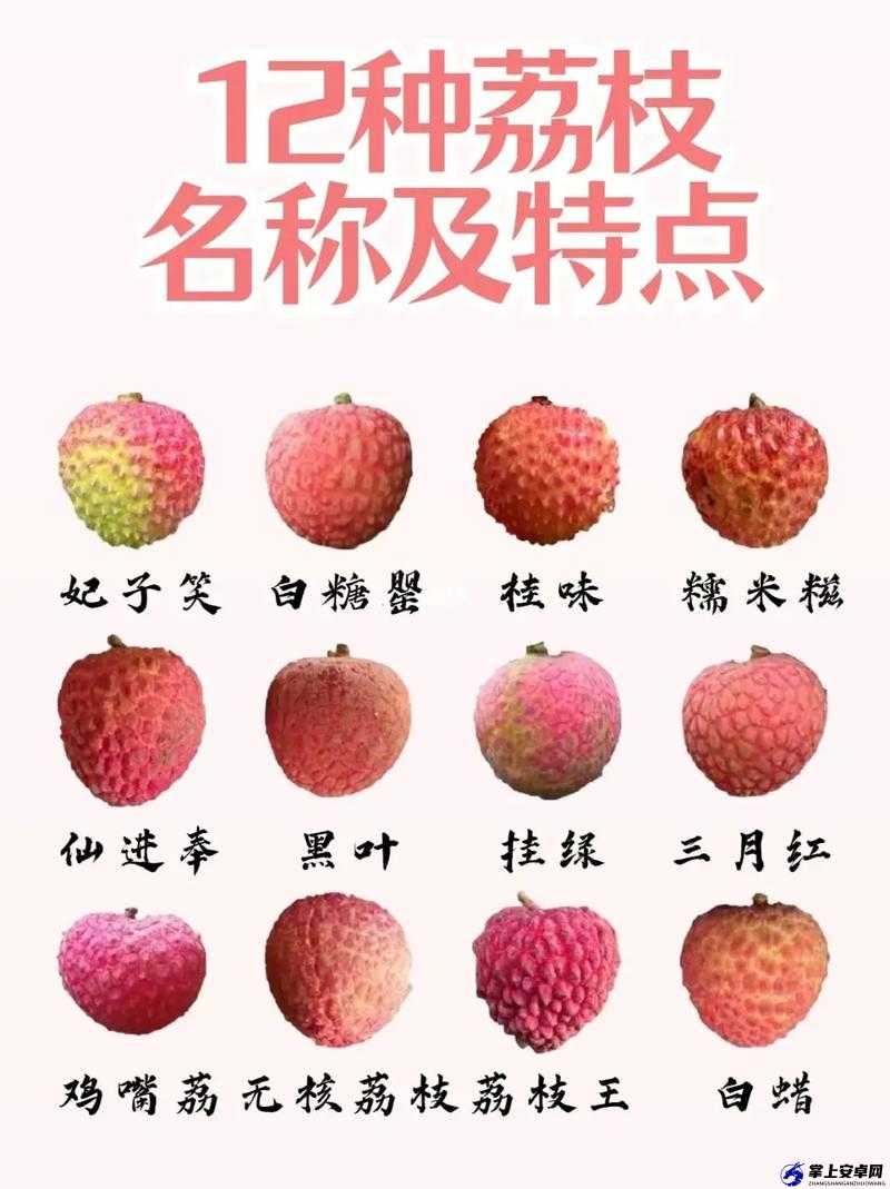 水果与小动物的奇妙组合：荔枝樱桃草莓、小蝌蚪秋葵的故事