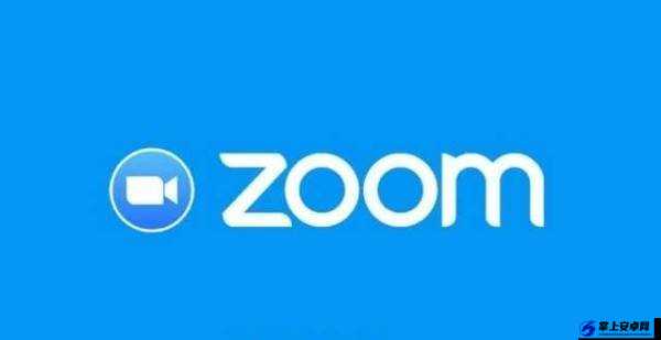 另一类 Z00M 与人性 Z00M 的别样诠释