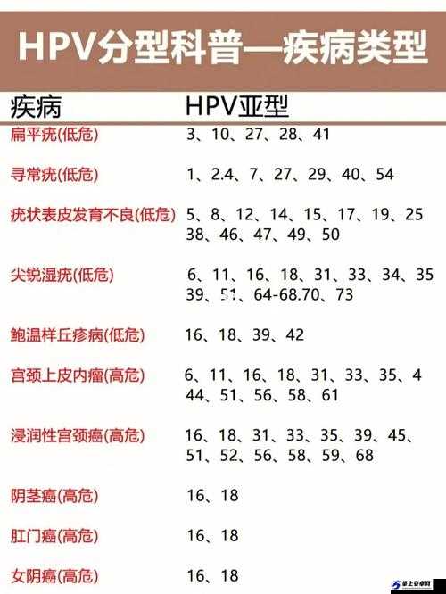 夫妻一晚需打几针 HPV？专家解答来了