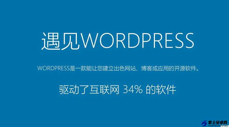 wordpress 成品网站：你的优质建站选择