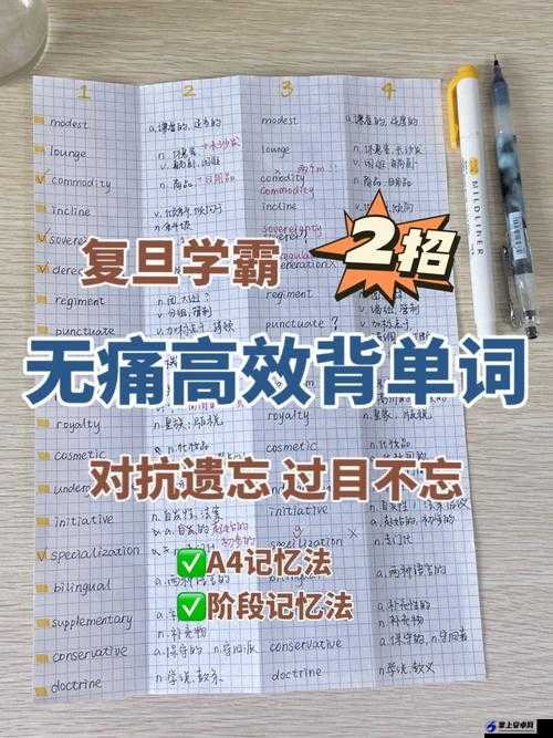 坐在学霸的大紫根上背单词：开启学习新体验