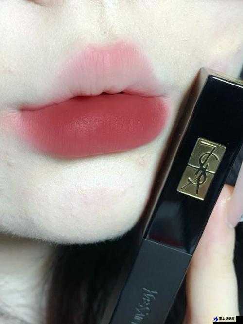 YSL 蜜桃色 6I 经典魅力永流传