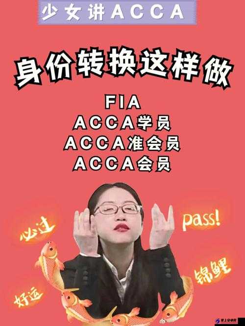 acca 少女网课视频：助你高效学习